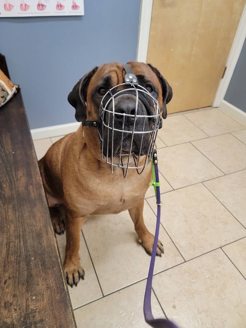 White Oak Animal Hospital