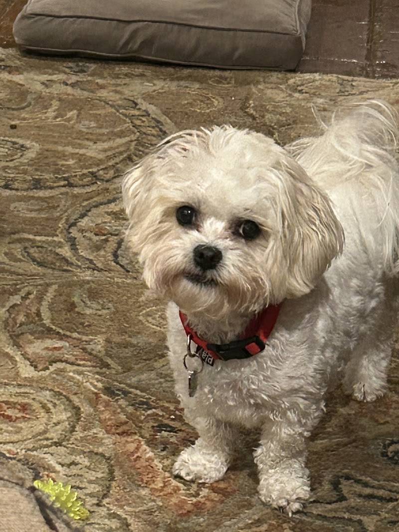 White Oak Animal Hospital