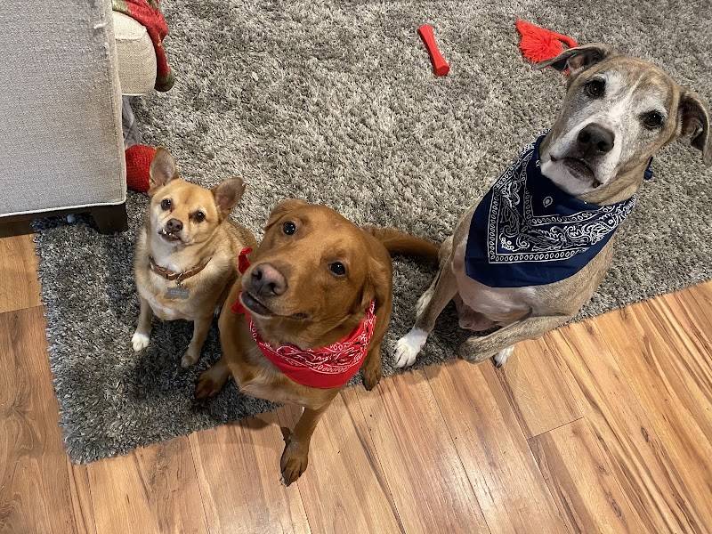 White Oak Animal Hospital